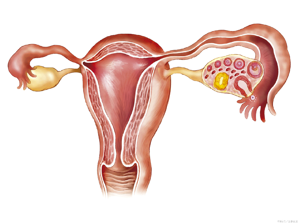 宫颈炎对人体危害很大 女性应尽早治疗。